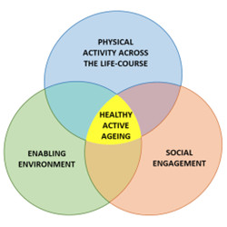 A healthy active aging framework